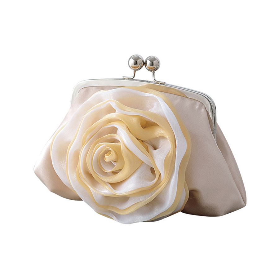 حقيبة سهرة رائجة البيع بتصميم  - مراجعة Women Bags Sale وسعره