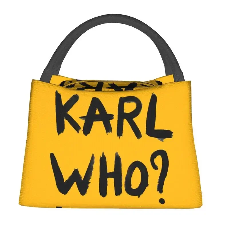 حقائب غداء معزولة من كارل هو ل - مراجعة Women'S Karl Bags وسعره