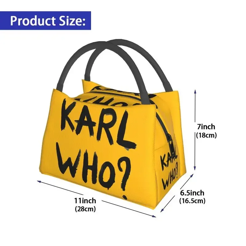 حقائب غداء معزولة من كارل هو ل - مراجعة Women'S Karl Bags وسعره
