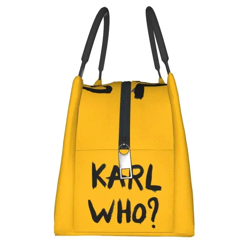 حقائب غداء معزولة من كارل هو ل - مراجعة Women'S Karl Bags وسعره